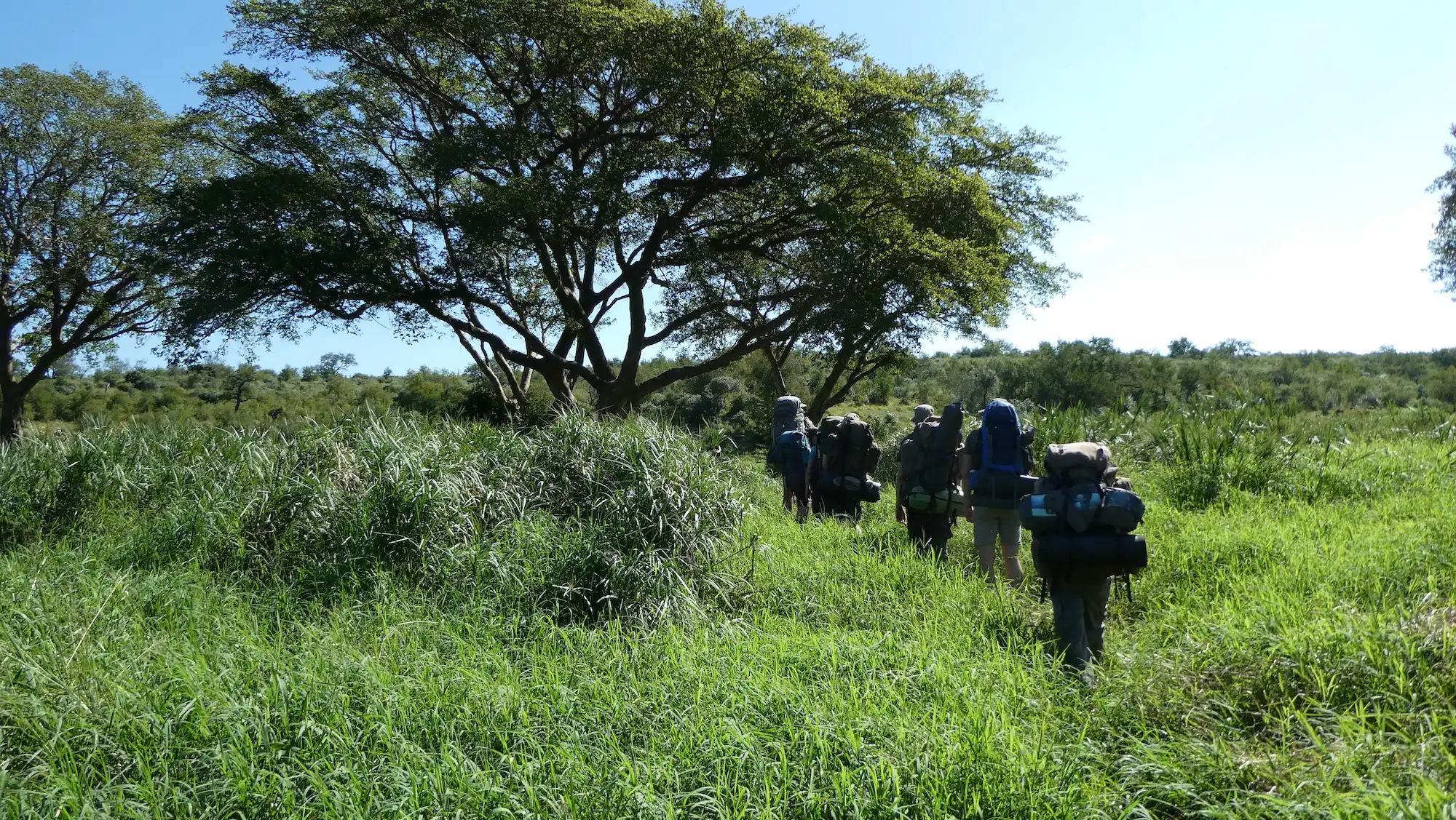 Ival Nature retreats (ival.nl): on trail in Umfulozi